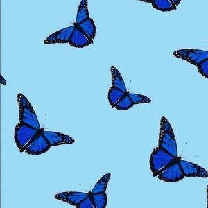 Meet your Posher, Jas